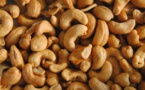 Sénégal – Agriculture : 160 000 tonnes de noix de cajou produites en 2023, selon les acteurs