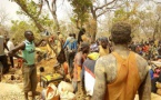 Saraya : destruction de sites d'orpaillage clandestins le long de la Falémé