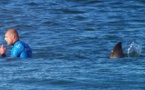 Un surfeur échappe à un requin