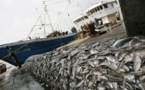 La Commission Européenne met en garde le Sénégal sur la pêche illicite 