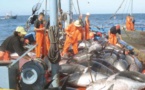Pratique de pêche illicite dans les eaux sénégalaises : le spectre du carton rouge après le jaune