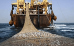 Pêche illicite: le Sénégal reçoit un avertissement de l’Union européenne