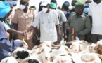 Foirail de Dahra : le Secrétaire d’État aux Coopératives et à l’Encadrement paysan demande aux éleveurs de rembourser leur dette de 600 millions de Fcfa