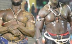 Lutte avec frappe : la date du face to face entre Modou Lô et Siteu connue