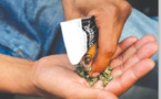 Gare du TER de Colobane : un Malien arrêté avec 25 sachets de kush