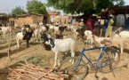 En Afrique, une Tabaski entre vie chère et grands préparatifs