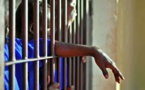 Sénégal : deux détenus graciés à la veille de Tabaski retournent en prison pour meurtre et vol 