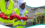 2ème Edition « Setal Sunu Rew » : le Président Diomaye invite les Sénégalais à faire de ce rendez-vous mensuel « une contribution personnelle »