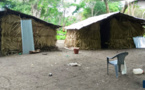 Casamance-Boussoloume : le village "fantôme" retrouve ses habitants qui avaient fuient la guerre 33 ans après 
