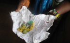 Le "tababa" : la drogue sexuelle qui ravage la Casamance