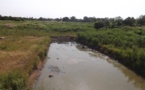 Tambacounda : un enfant de huit (8) ans emporté par les eaux de la vallée du Mamacounda, son corps introuvable