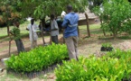 Sénégal : un projet de finance climat durable lancé au profit des régions de Ziguinchor, Kolda et Sédhiou