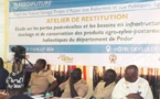 Podor : l’IPAR révèle des pertes post récoltes de cinq milliards de francs CFA par an