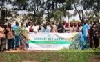 Journée nationale de l'arbre : Touba abrite l'édition 2024