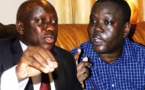 Affaire Bassirou Faye: c'est la guerre entre Mahawa Sémou Diouf et Serigne Bassirou Gueye