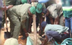 Coupes abusives du bois en Casamance: "toutes les unités étatiques seront mobilisées" (Ousmane Sonko)