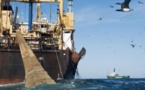 Pêche : « Les seuls bateaux autorisés à pêcher dans les eaux sénégalaises sont ceux de l’UE», (ministre)