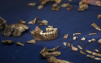 Homo naledi: une espèce proche de l'Homme qui enterrait ses morts