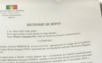 Réclamation contre Ousmane Sonko : la coalition de Macky saisit le Conseil constitutionnel