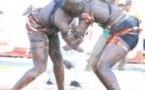 7ème édition du Tournoi de lutte africaine de la CEDEAO : 4 "Lions" en finale