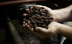 Hausse des prix du cacao: les coopératives concurrencées par les industriels