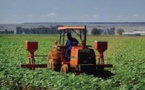 La BAD et les Etats africains s’engagent à faire de l'agriculture le moteur de la croissance économique