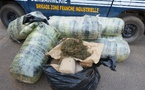Keur Massar : Saisie de 667 kg de chanvre indien par la gendarmerie