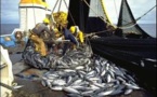 ​Les défenseurs de la mer sonnent l’alerte sur la «Sénégalisation» des navires de pêche étrangers