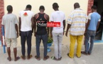 Saint-Louis: 8 malfaiteurs dont 6 cambrioleurs et 2 receleurs mis hors d'état de nuire 
