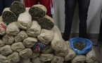 Thiaroye-sur-mer : la gendarmerie saisit 480 kilos de chanvre indiens, 4 suspects arrêtés