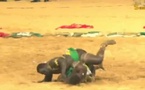 Lutte avec frappe : victoire de Pokola Baldé sur Talfa (vidéo)