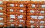 Gel des importations d'oignons : l'ARM fixe la date au 25 janvier