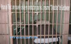 Prison de Thiès: une nouvelle cellule en construction pour les 3 présumés "Djihadistes" de Guédiawaye