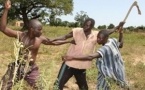 Incident à Keur Mame Marème : un cultivateur tué lors d'une altercation 