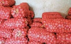 Suspension des importations d’oignon au Sénégal : une mesure pour soutenir la production locale