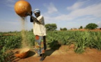 Niger: les paysans victimes des conséquences du changement climatique