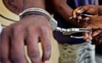 Magal 2015: 369 individus interpellés par les forces de sécurité