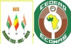 La sortie des pays de l’AES de la CEDEAO: chronique d’une rupture annoncée ! (Par Demba Moussa Dembélé)