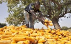 Le FMI salue les efforts de bonne gouvernance du Mali