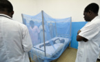 Rapport 2015 sur le paludisme - Le chemin est encore long: près de la moitié de la population mondiale exposée