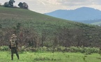 RDC: des militaires et des Wazalendo accusés de commettre des exactions contre les civils à Bukavu