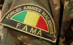 Mali: des combattants des groupes alliés à la Transition vont être intégrés dans l'armée