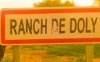 Ranch de Dolly : Mabouba Diagne annonce un investissement de 700 millions FCFA pour renforcer l’élevage