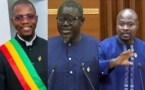 Imposition de cartes de séjour à des Sénégalais : des députés demandent la réciprocité et le respect des droits des Sénégalais à l'étranger