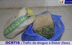 Lutte contre le trafic illicite de stupéfiants : 2,5 kg de chanvre indien saisi par l’OCTRIS