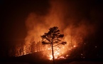 La Corée du Sud fait état de 18 morts dans l'un des pires feux de forêt de son histoire