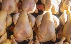 Louga hausse du prix du poulet à l'approche de la Korité : Maramata Sylla donne les raisons