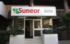 Mauvaise campagne de commercialisation de l’arachide : La Suneor au bord du péril.