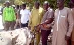 Lutte contre le vol de bétail à Sédhiou: 24 vaches volées à Brimine, restituées à leurs propriétaires