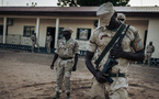 Terrorisme: quelles conséquences aura le départ du Niger de la Force multinationale mixte?